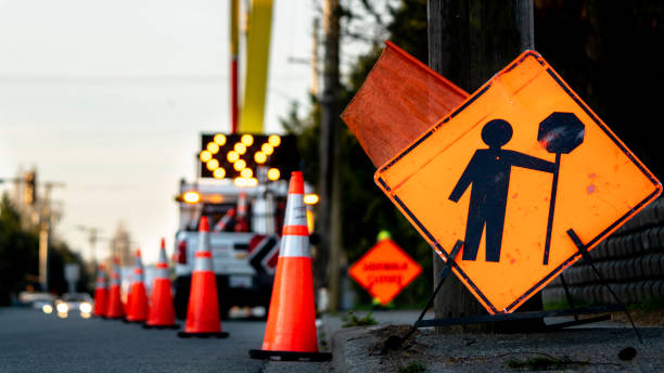 Fallen tree blocks section of Whitehall Avenue