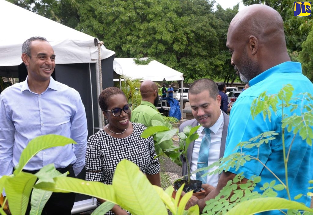 Preservation of trees critical to Jamaica’s development &#8211; Samuda