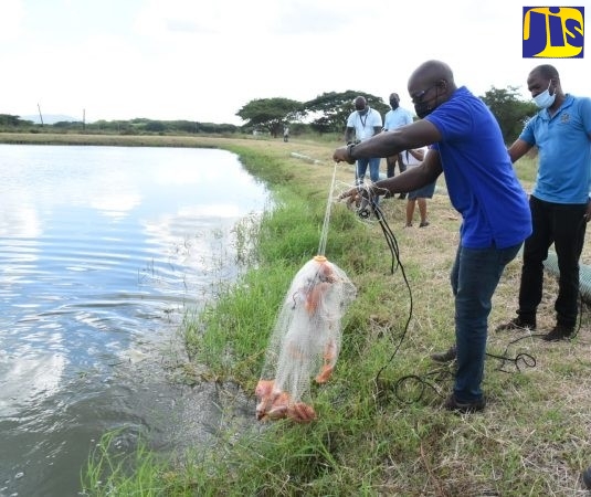 $313 million allocation to bolster climate resilience in fisheries sector