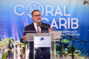 Gov’t committed to protecting natural environment