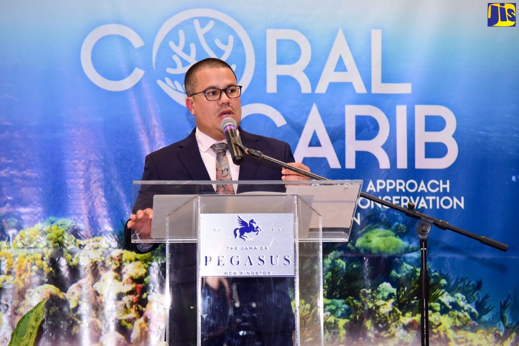 Gov’t committed to protecting natural environment