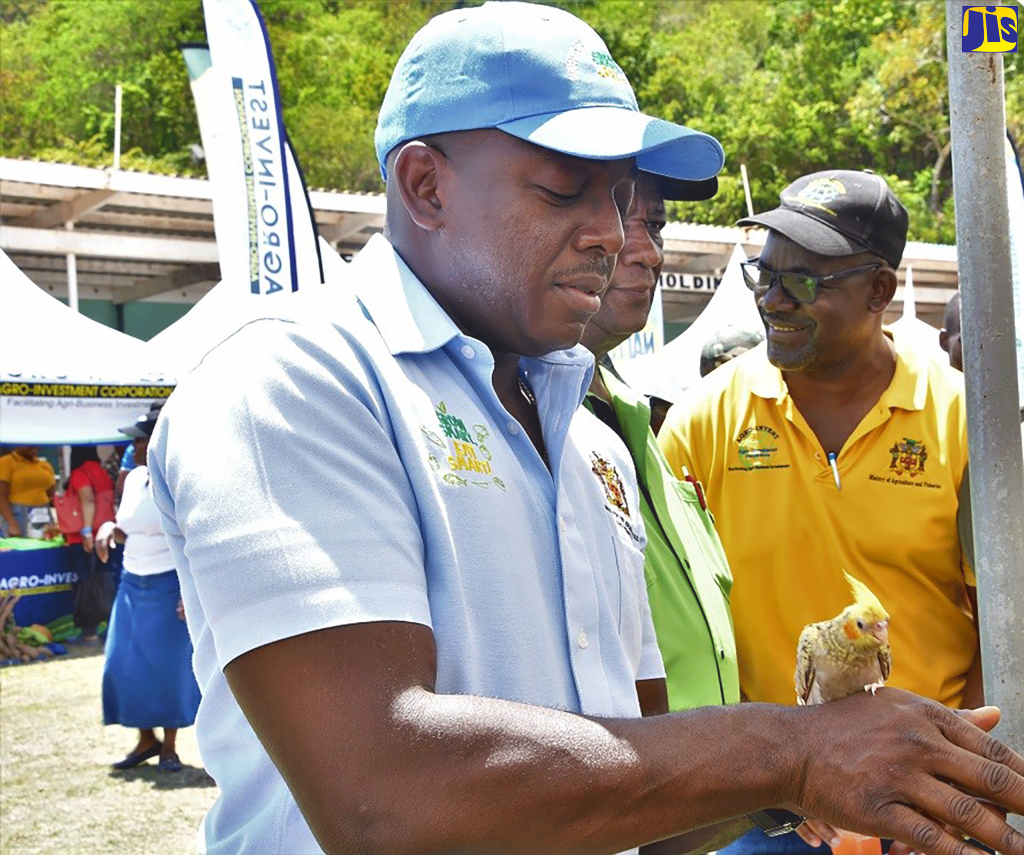 St Ann farmers urged to prepare for tourism boom