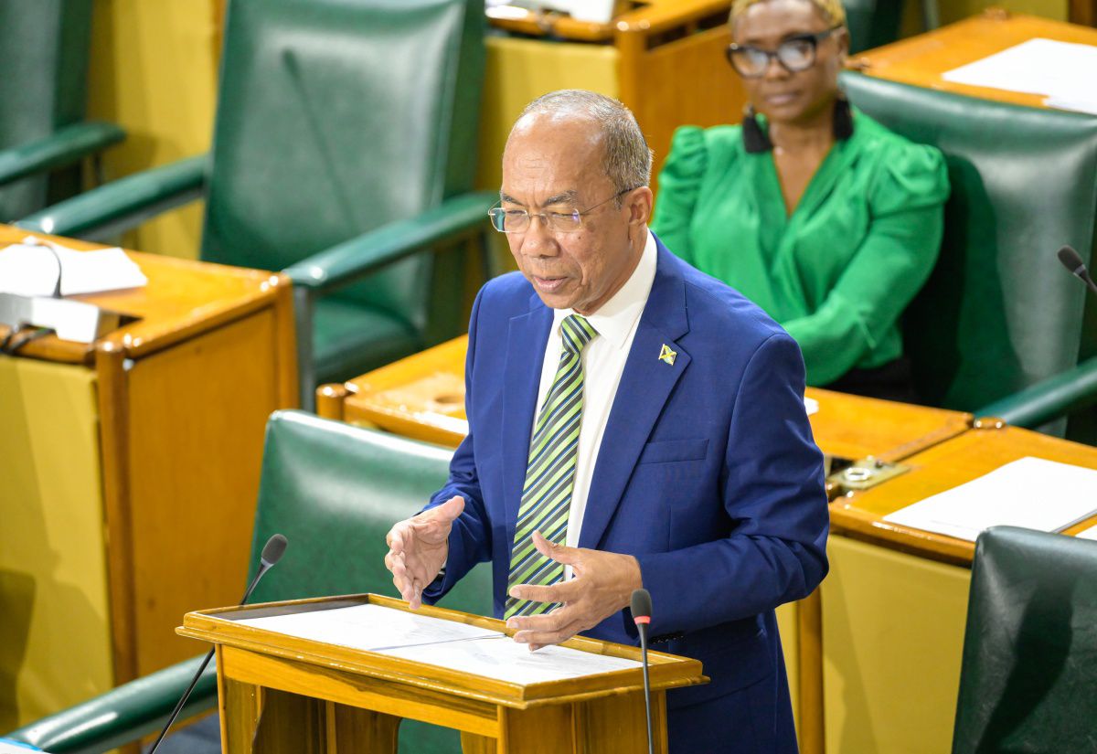 Repair of cables that connect JamaicaEye cameras in progress