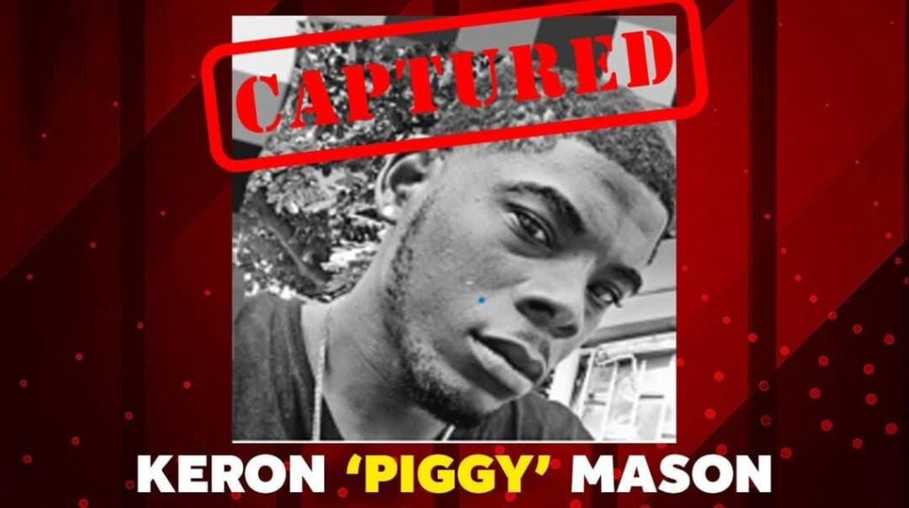 &#8216;Piggy&#8217;, wanted for burglary and larceny, nabbed by cops 