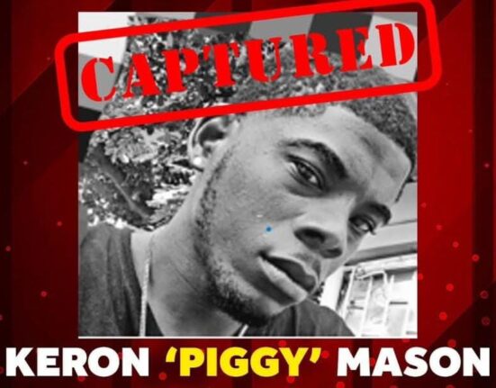 &#8216;Piggy&#8217;, wanted for burglary and larceny, nabbed by cops 