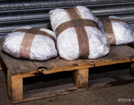 US$500-million cocaine bust in St Andrew; 63-y-o man arrested 